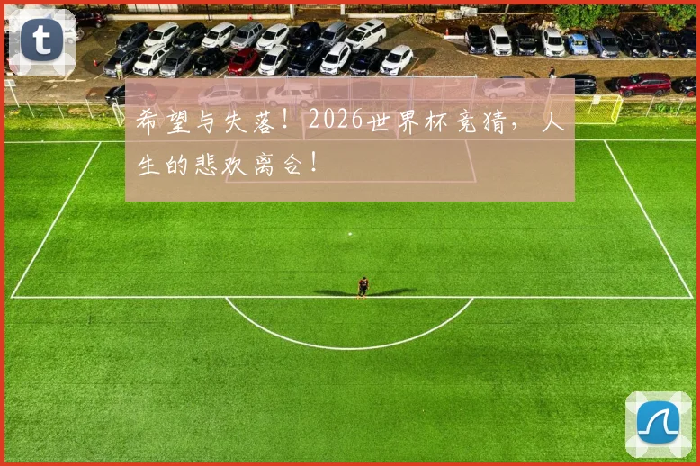希望与失落!2026世界杯竞猜,人生的悲欢离合!